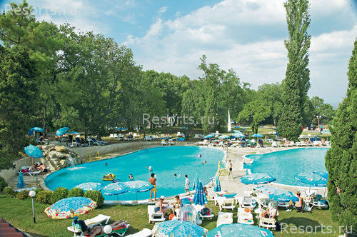 Dolphin Hotel 19